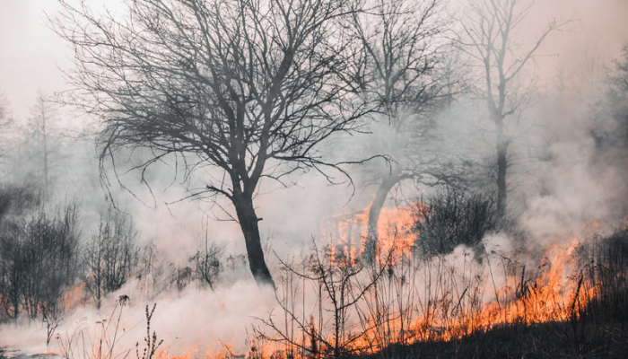 48 Titik Api Terpantau Hari Ini di Riau