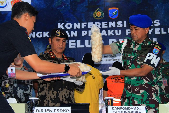 Pomdam XII Tanjungpura Selidiki Dugaan Anggota TNI Terlibat Perdagangan Telur Penyu