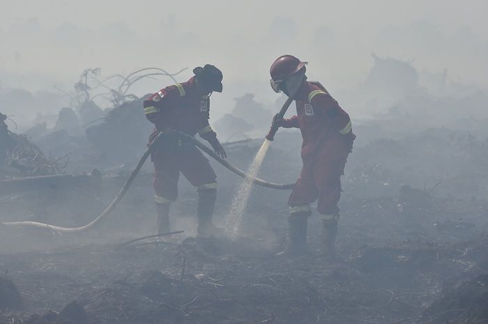 Hari Ke-5, Satgas Karhutla Masih Padamkan 264 Hektare Lahan Gambut yang Terbakar di Jambi