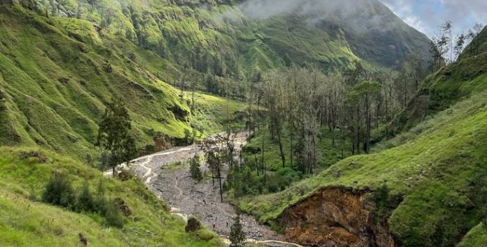 Kalsel di Ujung Tanduk: Hutan Primer Tinggal 50 Ribu Hektar, Data Satelit Ungkap Tekanan Ekstraktif