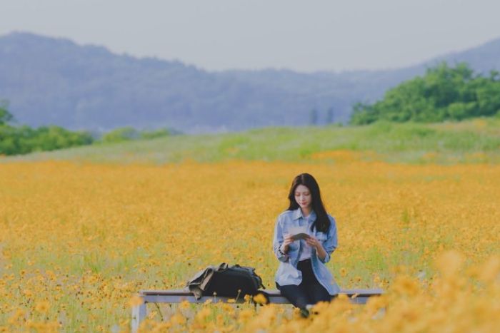 My Lovely Journey: Drakor Terbaru Bikin Hati Adem, Tapi Kok Rating Seret?