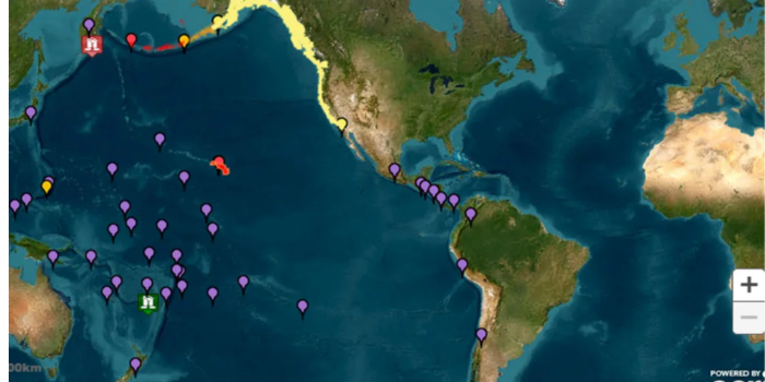 Gempa Dahsyat Berpusat di Rusia Picu Tsunami: AS, Jepang, dan Wilayah Pasifik Lainnya Waspada