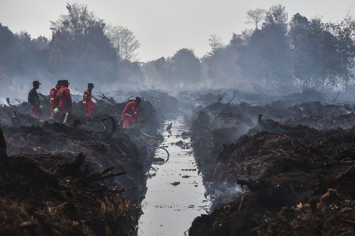 Operasi Modifikasi Cuaca Dinilai Berhasil, Karhutla di Jambi Mulai Terkendali