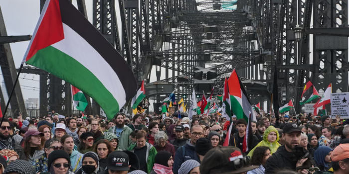 Aksi Solidaritas untuk Gaza, Puluhan Ribu Warga Sydney Lakukan Long March Lintasi Jembatan Harbour
