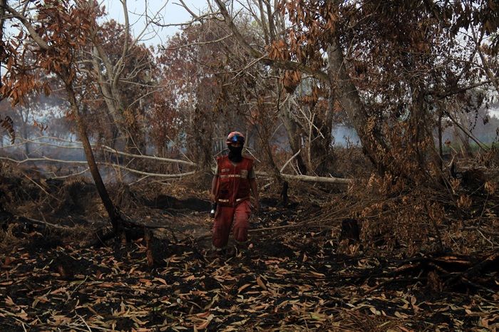 Pemerintah Siapkan Bantuan Teknologi untuk Buka Lahan, Pembakar bakal Disikat