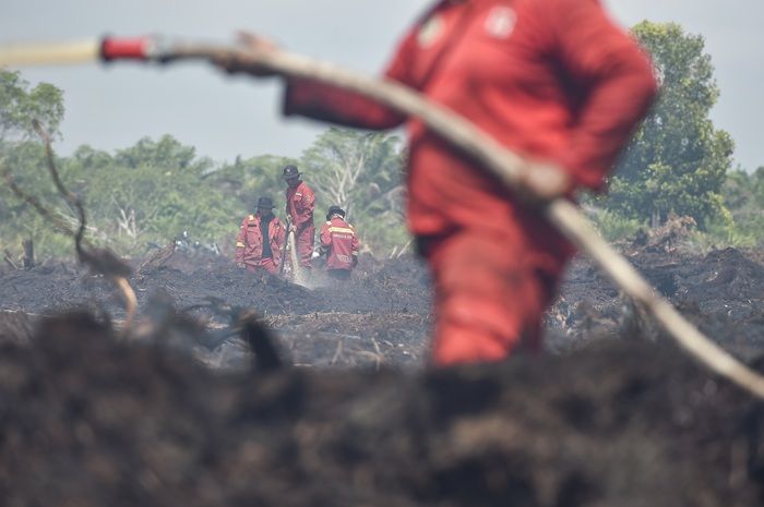 9,6 Hektare Lahan Terbakar di Aceh Barat Sudah Padam, BPBD Cegah Insiden Berulang