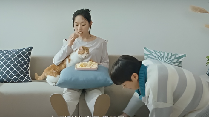 Yoon Doo Joon dan Kim Seul Gi Rebutan Kucing di Drakor Terbaru The Catstody War