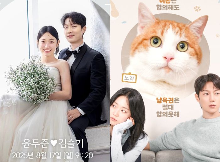 Yoon Doo Joon dan Kim Seul Gi Rebutan Kucing di Drakor Terbaru The Catstody War