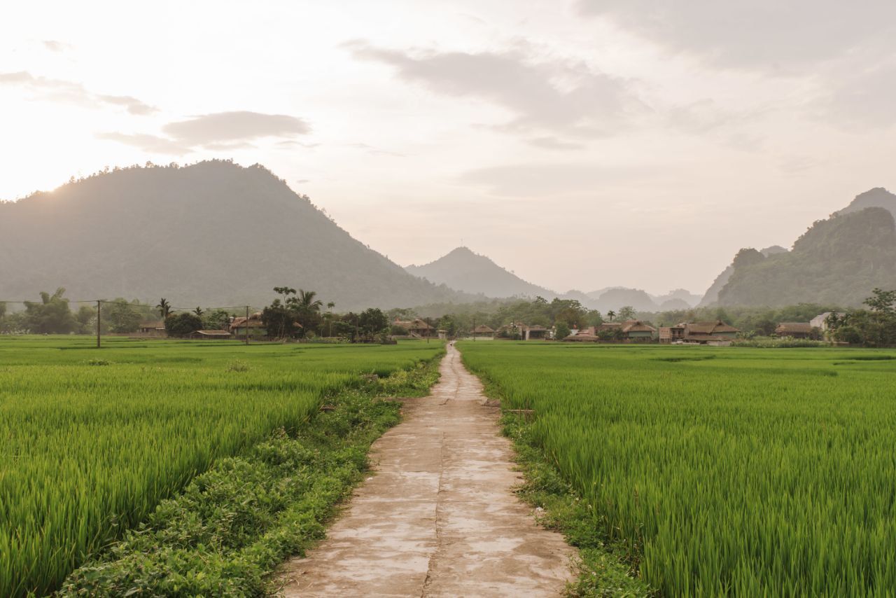 Bukan Sekadar Bertani, Ladang Gilir Balik Jadi Bagian Budaya Suku Dayak