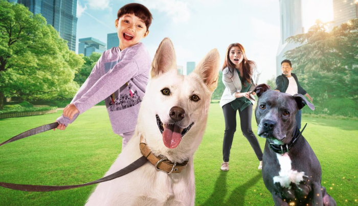 5 Rekomendasi Film tentang Anjing di Netflix, Bikin Haru dan Menghangatkan Hati
