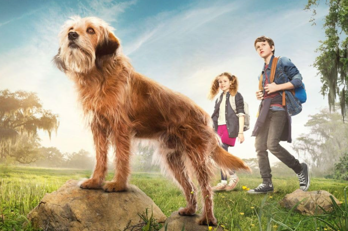 5 Rekomendasi Film tentang Anjing di Netflix, Bikin Haru dan Menghangatkan Hati