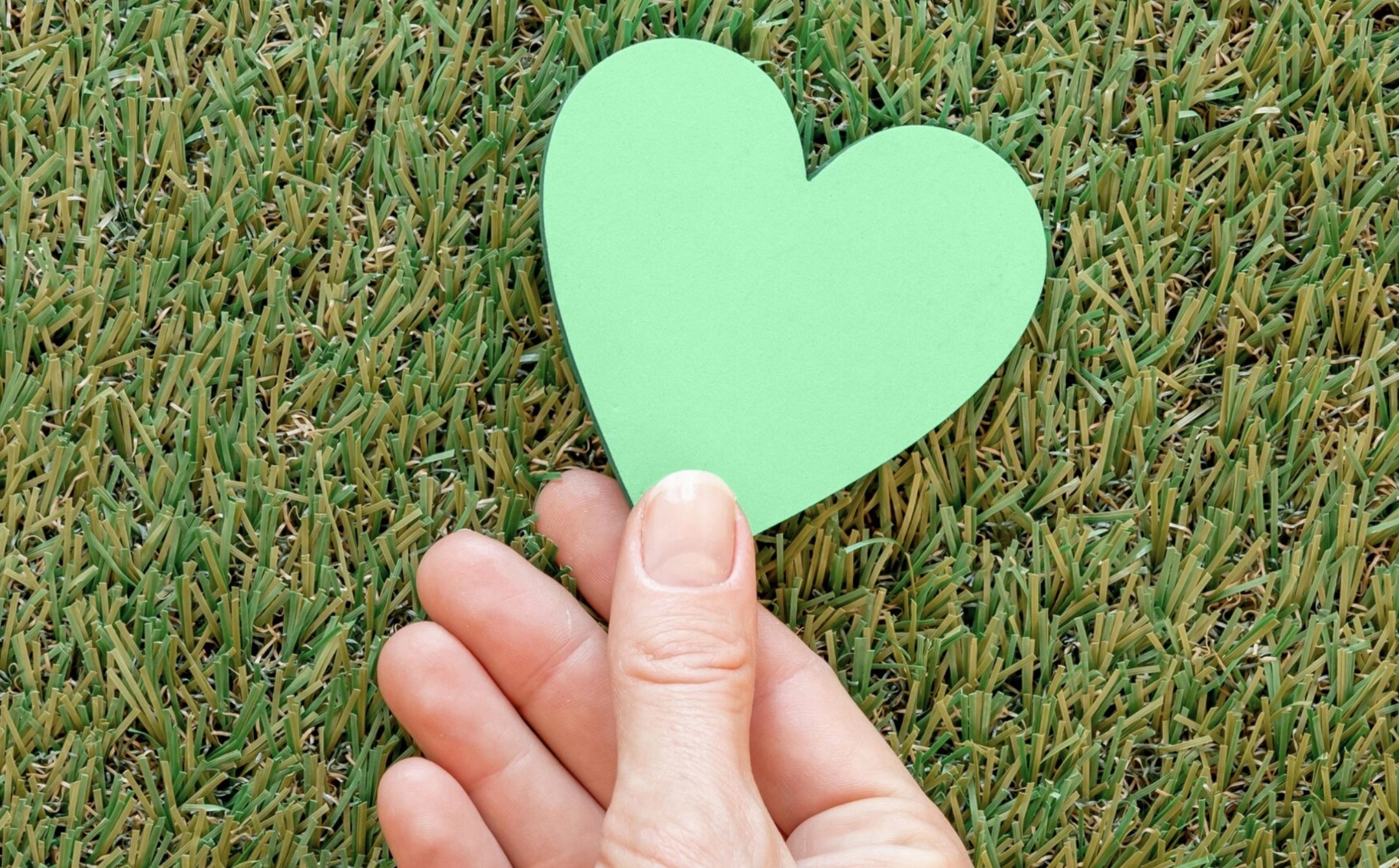 17 Ide Bio Instagram Pecinta Warna Hijau yang Bikin Feeds Seger