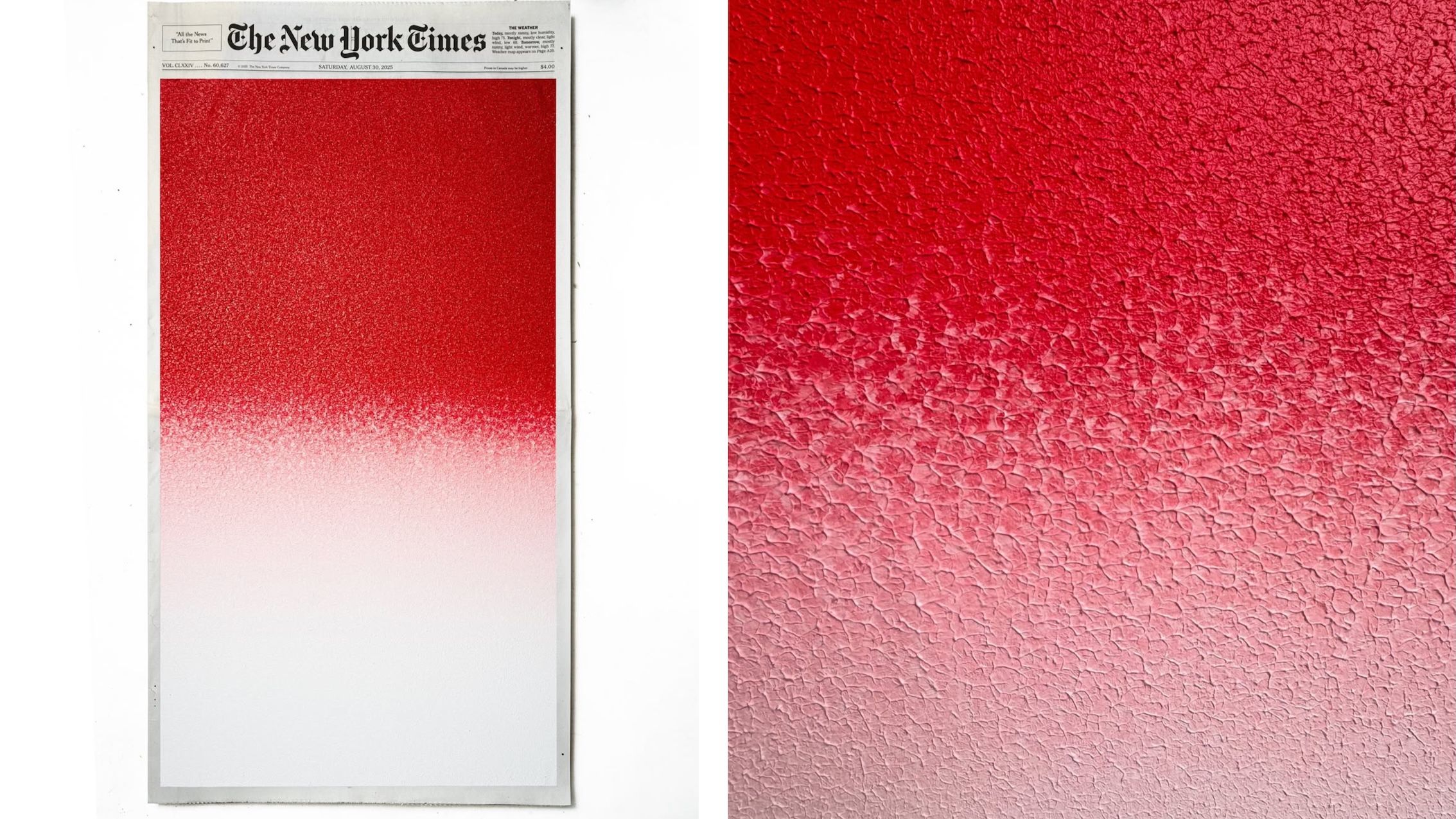 Potret Bendera Indonesia Karya Seniman Jepang Hiasi The New York Times, Simbol Krisis dan Harapan