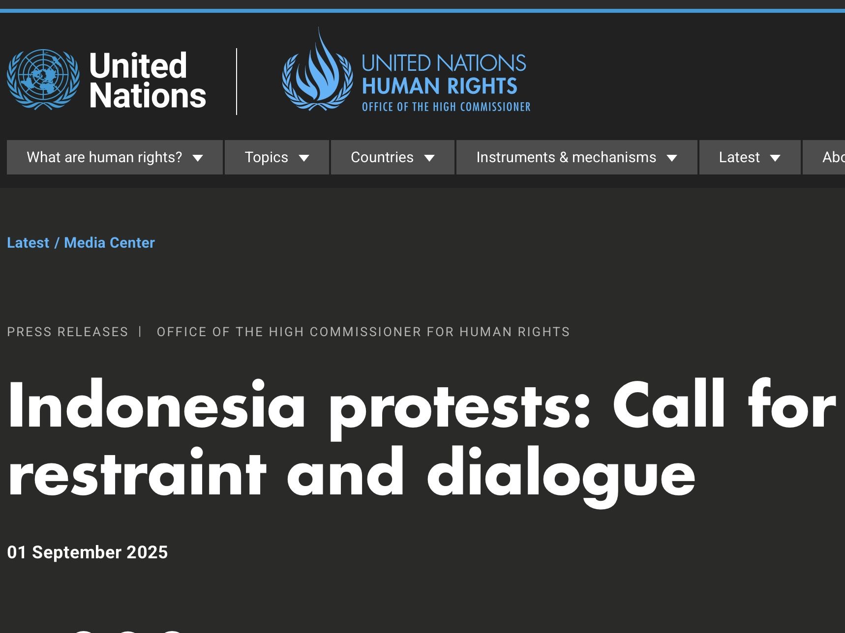 PBB Ingatkan Indonesia untuk Hormati HAM Saat Tangani Aksi Demo, Ini Statementnya!
