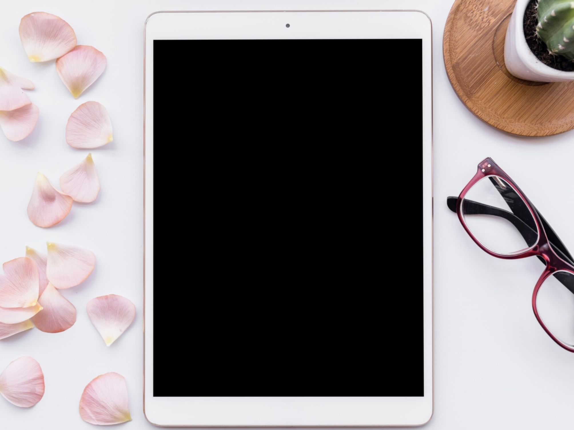 Update Terbaru: Instagram Rilis Versi iPad, Begini Fitur-fiturnya!