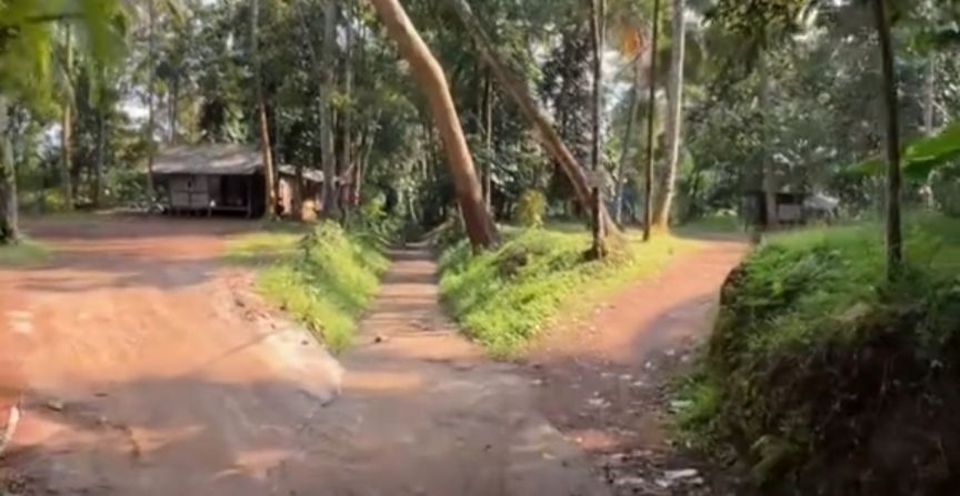 Pengen Liburan Ditanggal Tua Situ Cibulakan Ciomas Serang Bisa Menjadi Alternatif