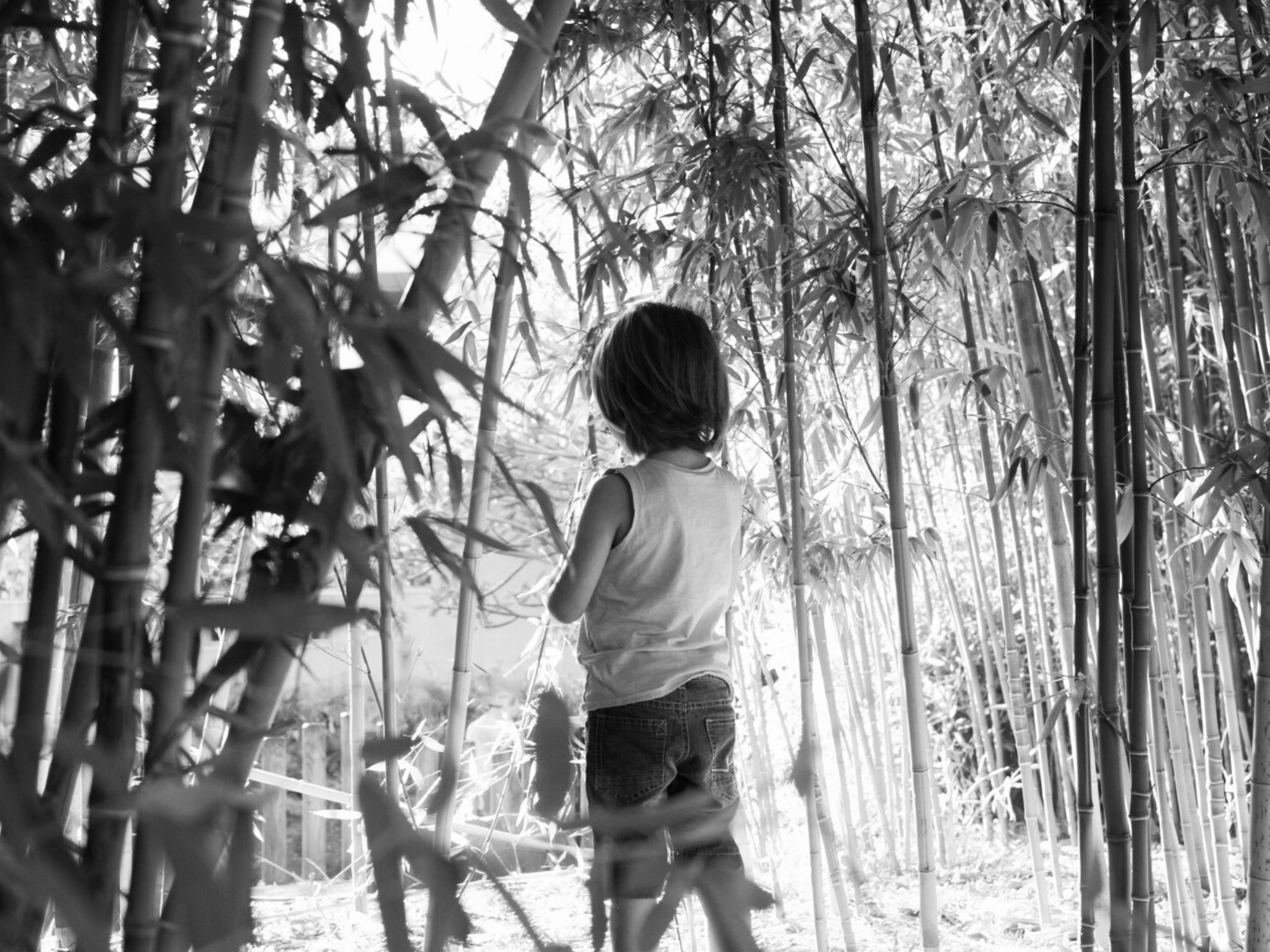 Kisah Mistis Bocah Hilang di Kebun Bambu: Pulang Bawa Teman Tak Kasat Mata