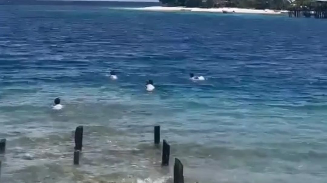 Sedih! Pelajar di Morotai Berenang Menyeberang Laut Demi Pulang ke Rumah