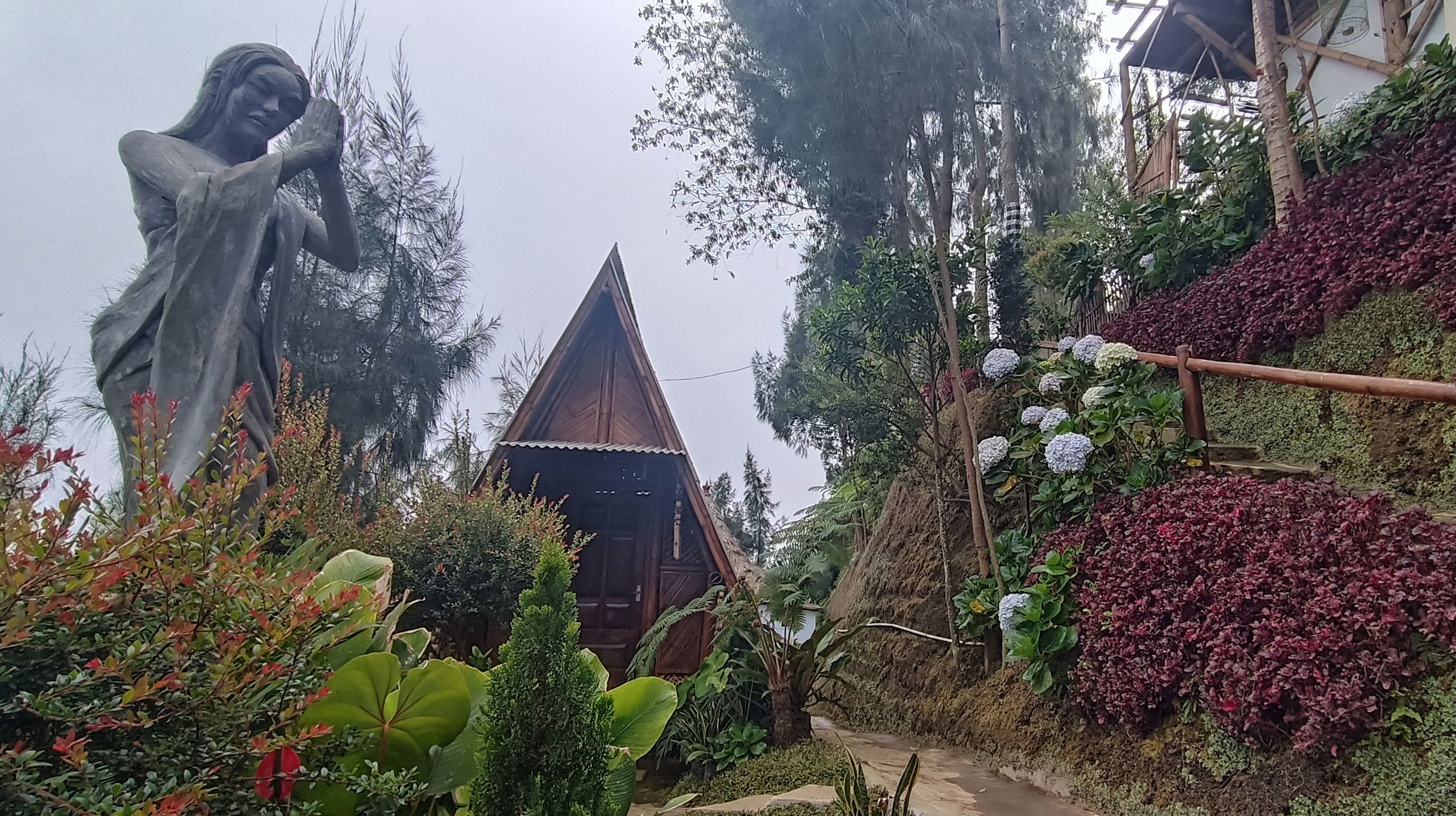 Bala Daun Menjaga Alam Dengan Memproduksi Oksigen