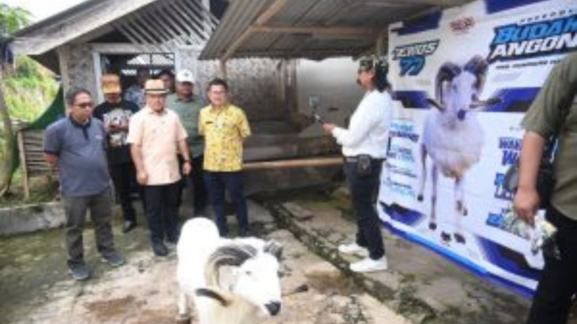 Bupati Dian: Peternakan Kuningan Mampu Bersaing, Terios 77 Jadi Bukti Nyata