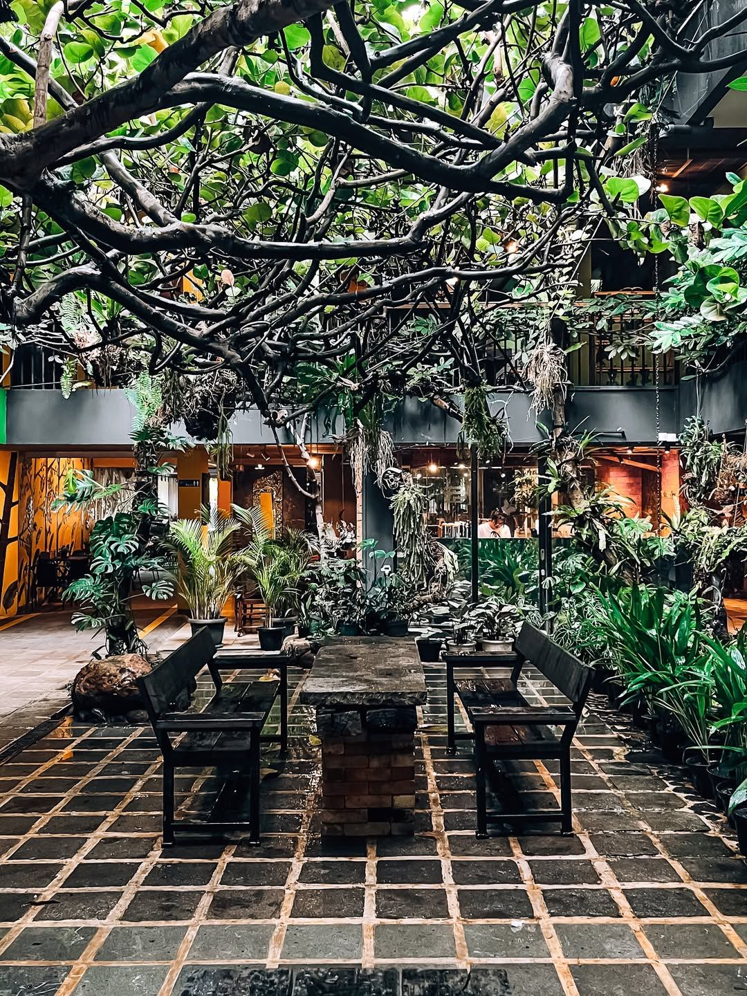 5 Rekomendasi Cafe di Jakarta yang Cozy Buat Hangout dan WFC