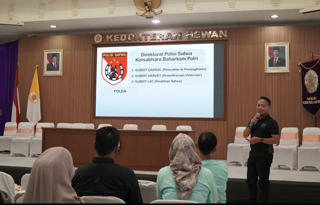Peluang Karier Dokter Hewan Makin Terbuka Lebar, Alumni FKH UGM Ungkap Pengalaman di Berbagai Bidang