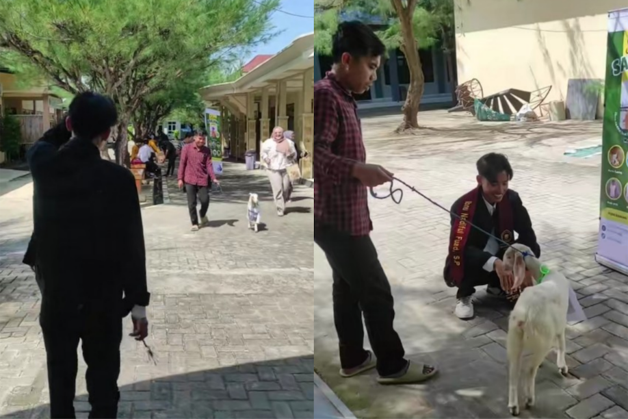 Viral! Usai Sidang Skripsi, Mahasiswa Sumenep Malah Dapat Hadiah Kambing dan Anak Ayam