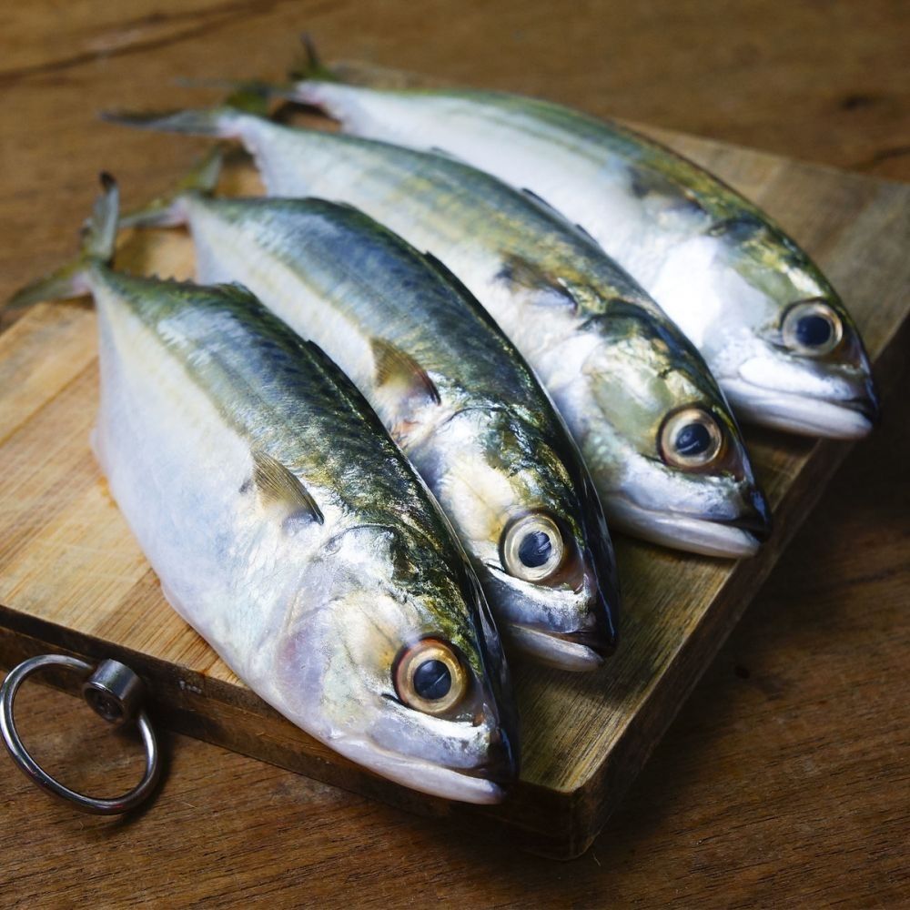 Ikan Kembung vs Salmon: Mana yang Lebih Tinggi Protein dan Lebih Sehat?