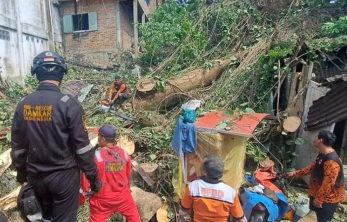 Cuaca Ekstrem di Sumut Rusak Lebih dari 100 Rumah, Terparah di Pematangsiantar
