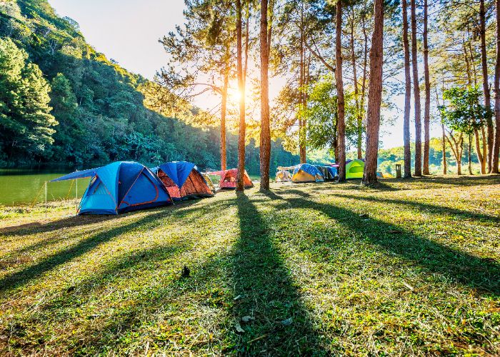 5 Fakta Pilu Pasutri Ditemukan Tergeletak di Tenda saat Bulan Madu,  Istri Tewas, Suami Kritis