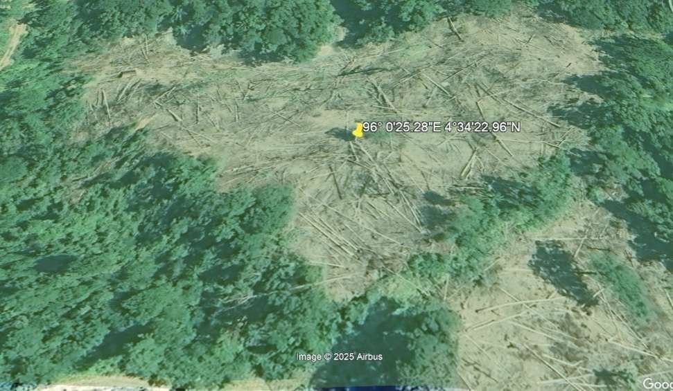 Aktivis Apel Gren Aceh Temukan 51 Hektar Hutan Lindung Aceh Barat Rusak Akibat Penebangan Kayu