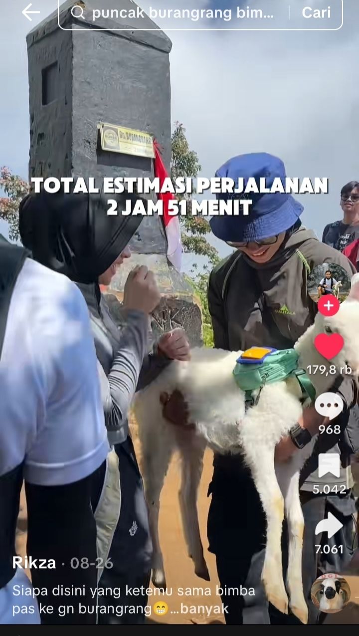Viral di TikTok! Pemuda Ini Daki Gunung Bersama Domba Kesayangannya