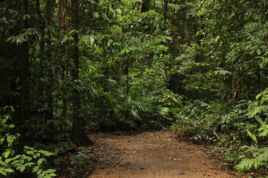 Presiden Prabowo Cabut Izin 28 Perusahaan yang Terbukti Langgar Pemanfaatkan Kawasan Hutan