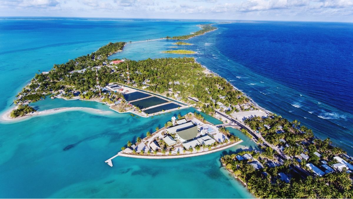 Kiribati: Negara yang Perlahan Tenggelam Akibat Perubahan Iklim