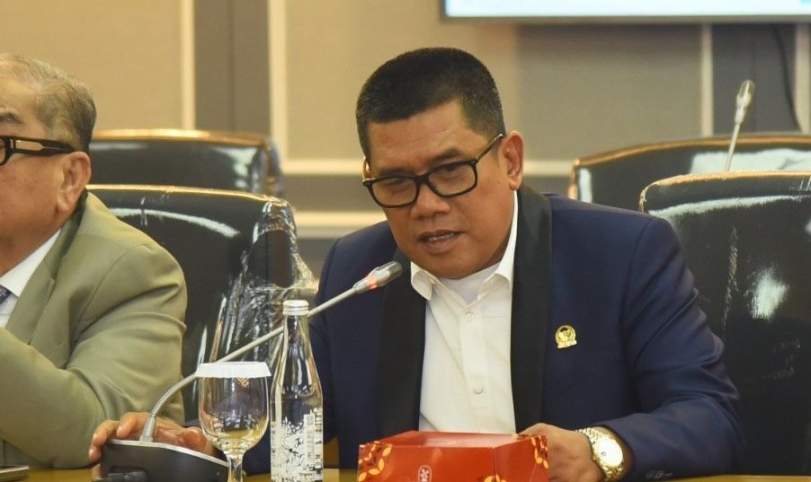 Salah Tangkap di Udara! Ketua NasDem Sumut Diturunkan Paksa, DPR RI Angkat Suara