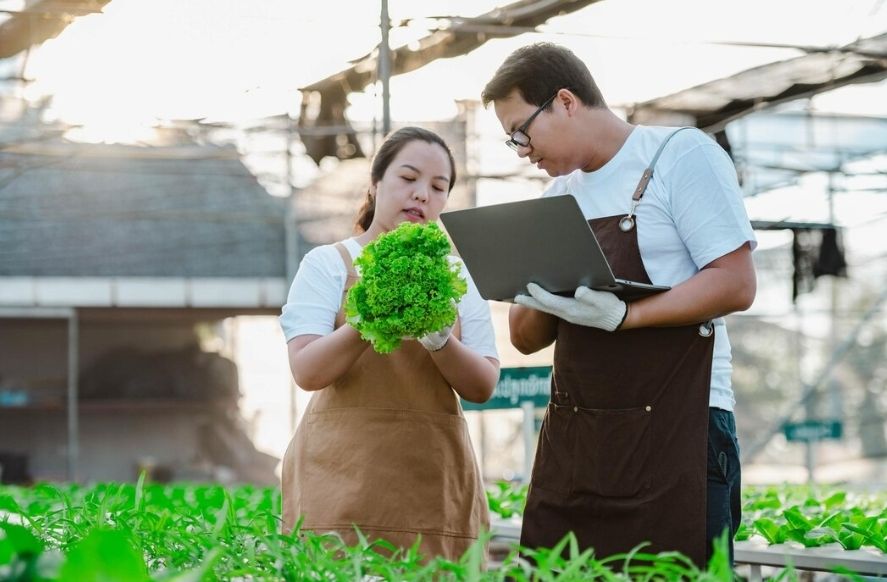 5 Peluang dan Cara Memulai Usaha Pertanian yang Menjanjikan di Era Modern