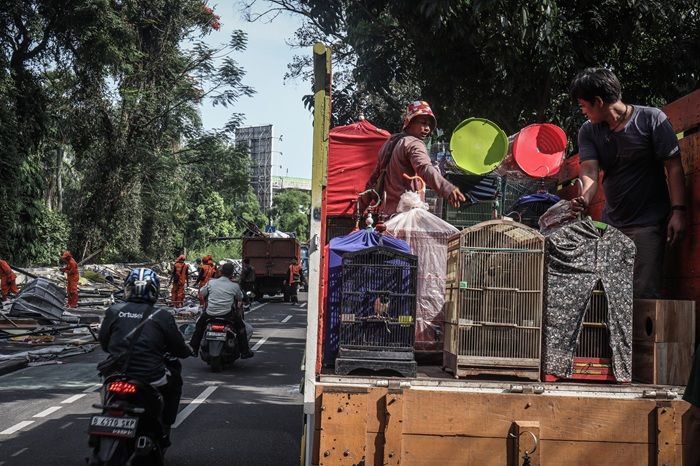 Anggota DPRD DKI Sesalkan Relokasi Paksa Pedagang Pasar Burung Barito
