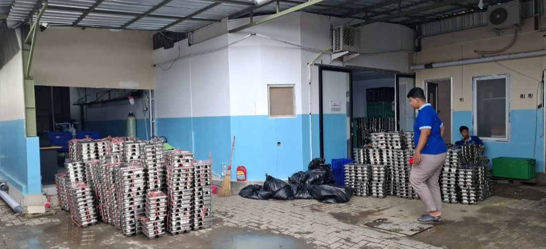 DPRD DIY Desak Pemerintah Prioritaskan Guru Honorer Ketimbang Pengangkatan Pegawai MBG Jadi PPPK, Sebut Guru Masih Banyak yang Ngojol
