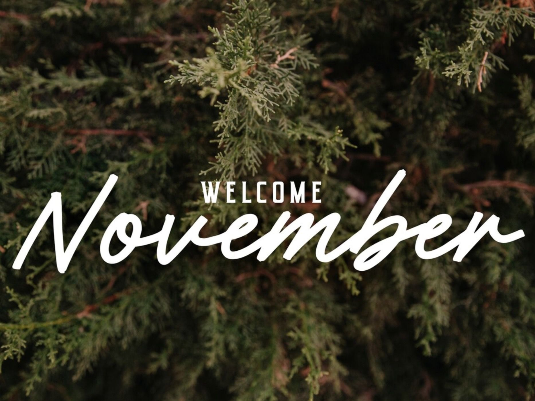 17 Caption Singkat tentang November yang Bikin Feed Makin Hangat dan Estetik