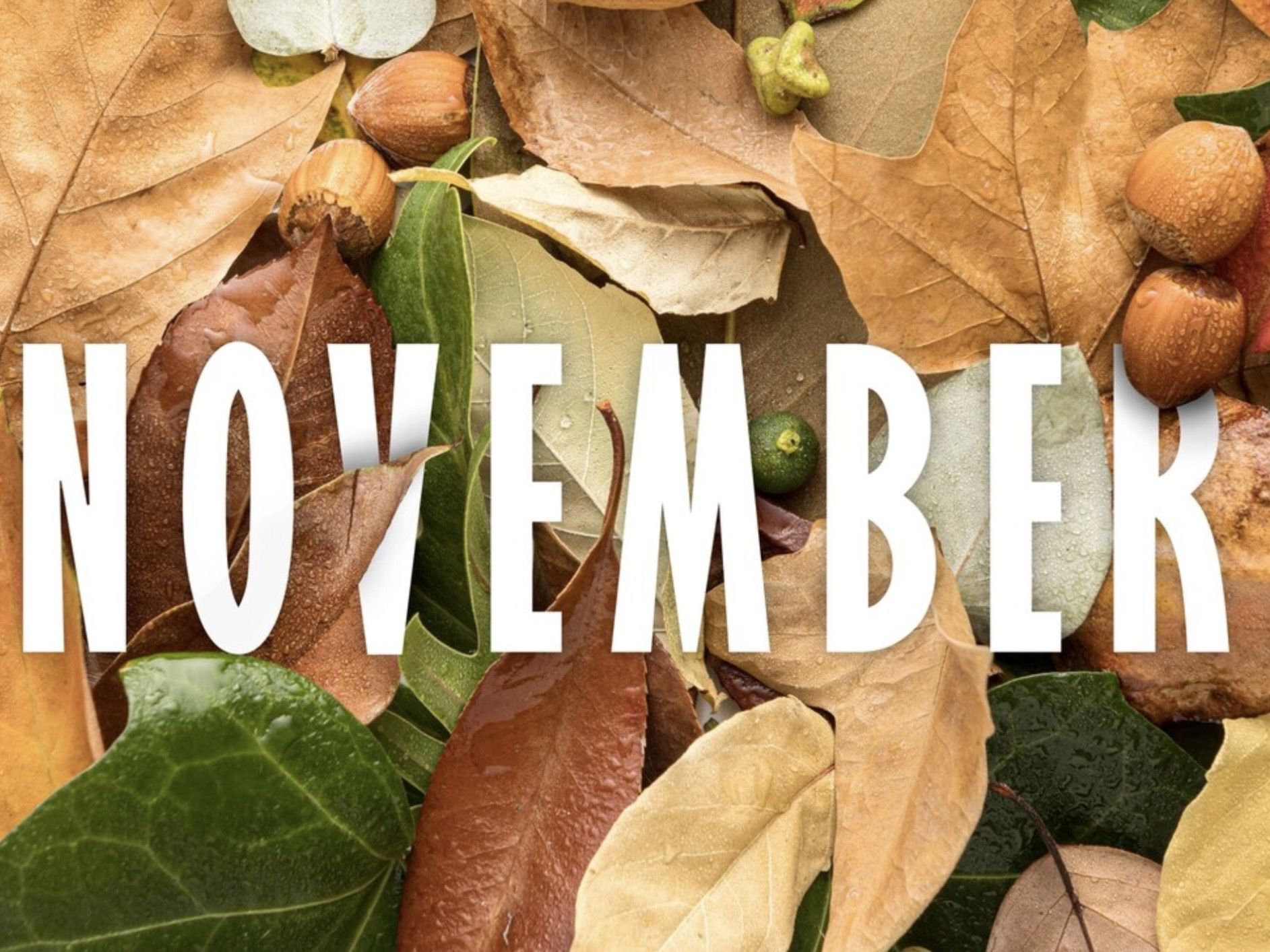 17 Caption Singkat tentang November Dalam Bahasa Inggris yang Bikin Feed Makin Estetik