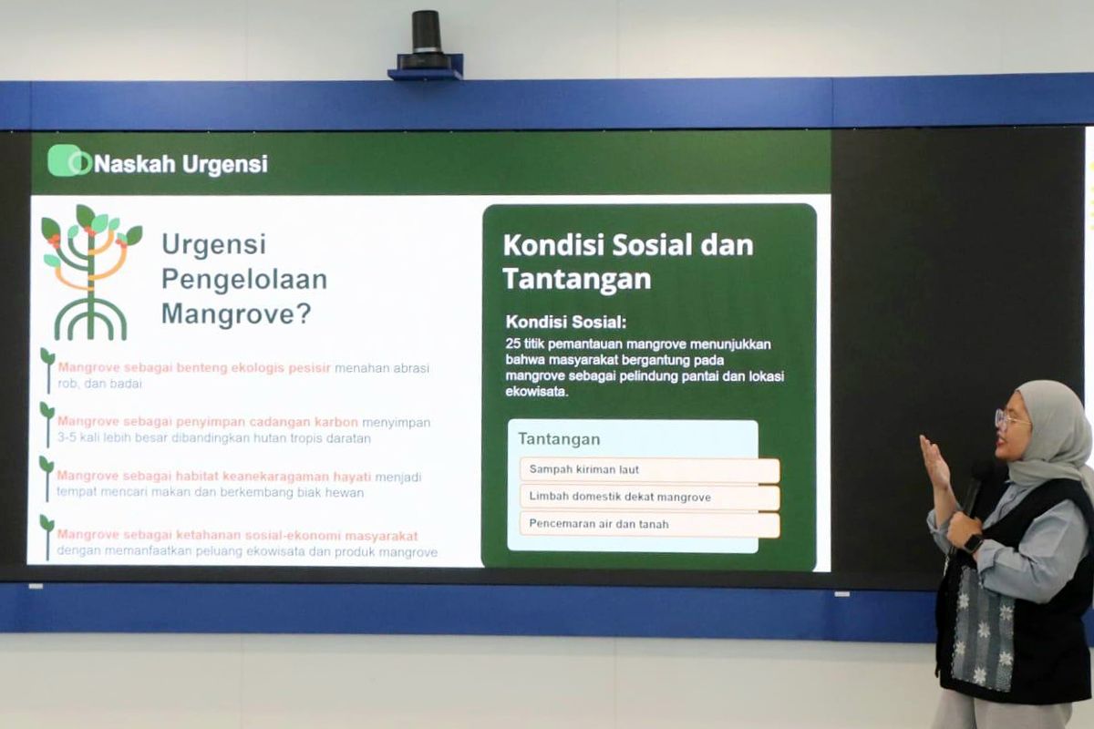 DKI Rumuskan Regulasi Pengendalian Kerusakan Mangrove