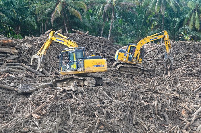 Kasus Kayu Gelondongan Terseret Banjir, Bareskrim Sebut Segera Tetapkan Tersangka