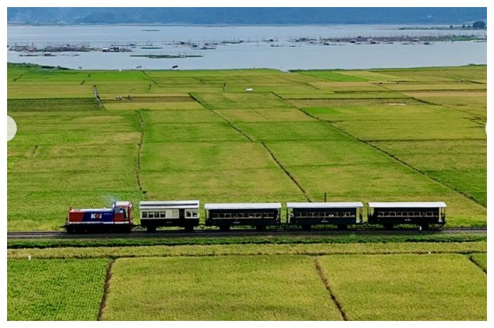 Ada Wisata Mirip Ghibli di Ambarawa, Museum Kereta Suguhkan Wisata Nostalgik