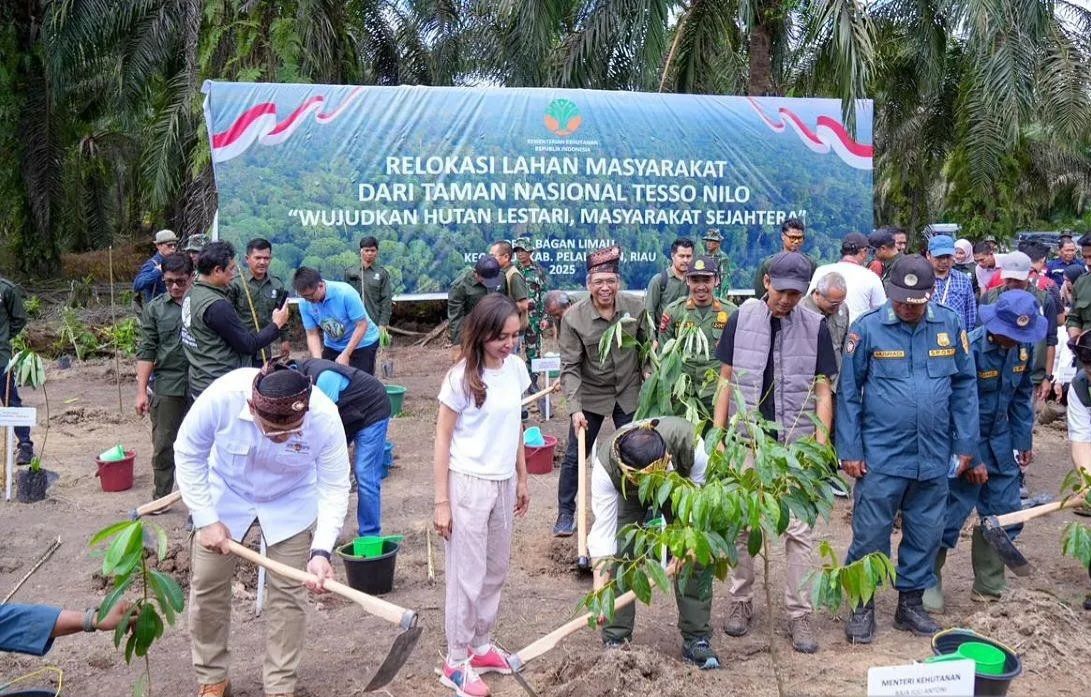Pulihkan Tesso Nilo, Pemerintah Berikan Akses Lahan Legal Lewat SK Perhutanan Sosial
