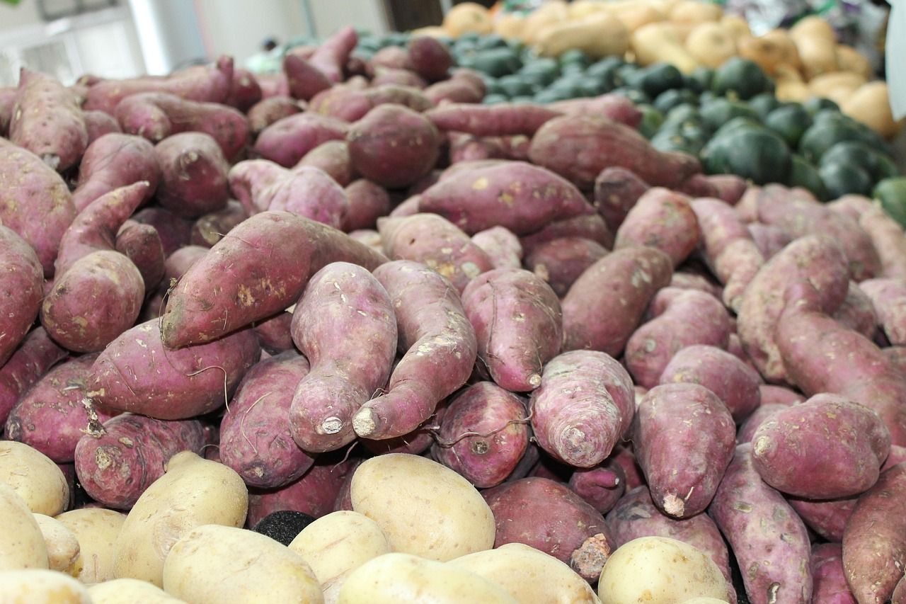 Ubi Cilembu Manis, Apa Bisa Bikin Diabetes? Ini Fakta yang Perlu Kamu Tahu