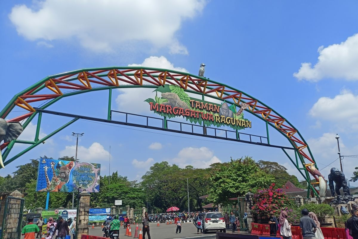 Pihak Taman Margasatwa Ragunan Siap Lakukan Evaluasi Lalin Usai Lonjakan Pengunjung Tahun Baru