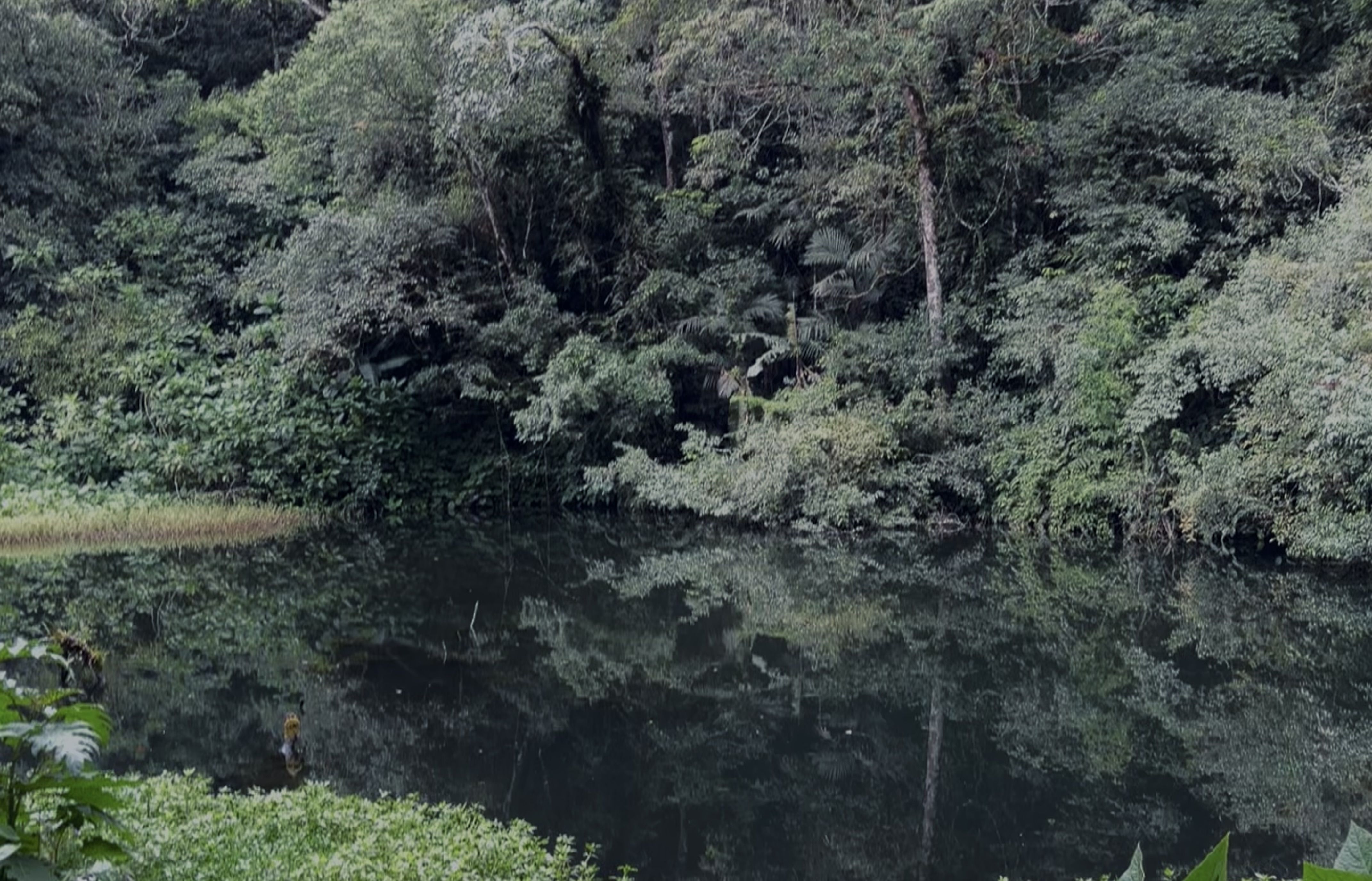 Bukan Sekadar Uji Fisik, Ini 10 Mitos Gunung Gede yang Masih Dipercaya Pendaki