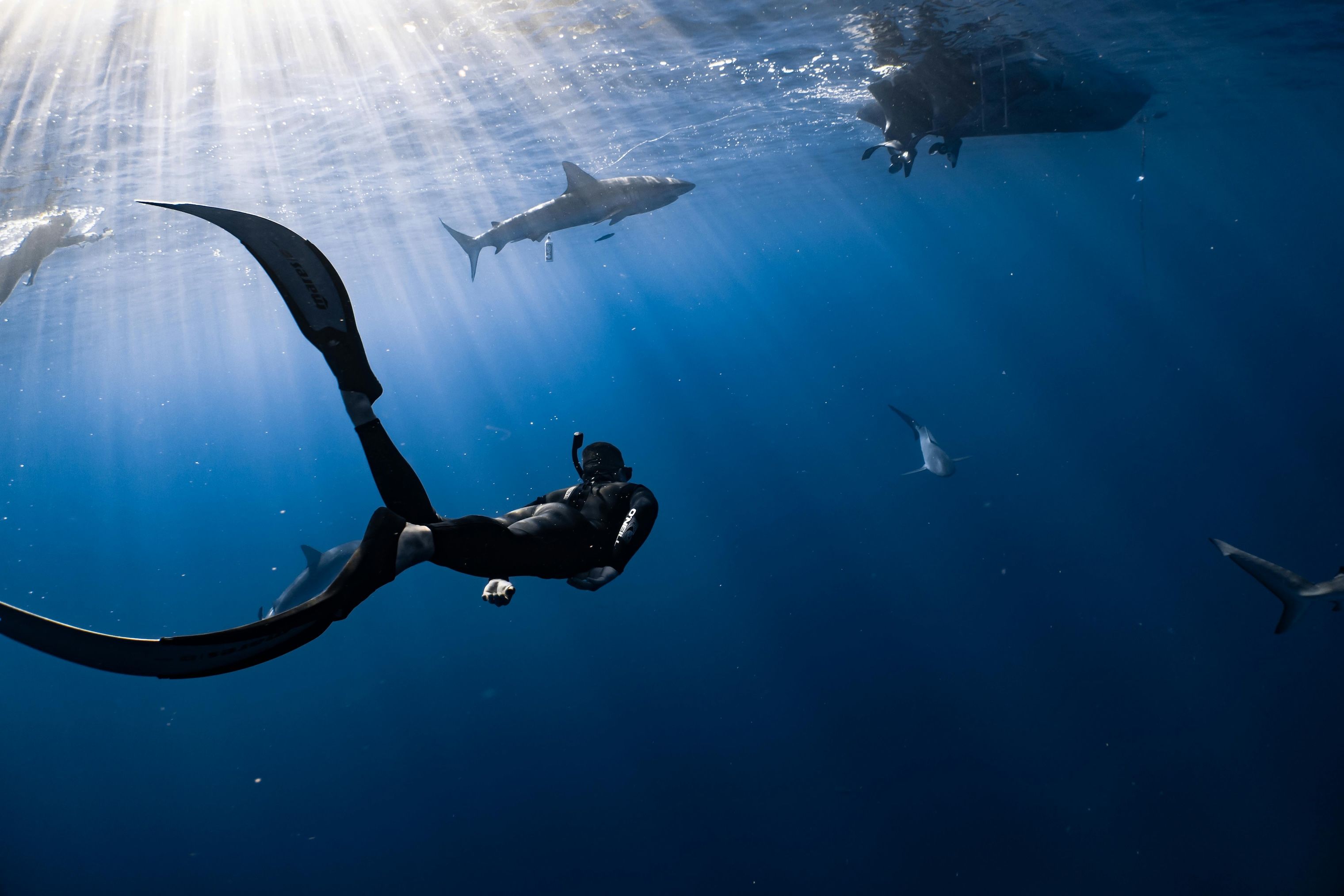 Mengenal Freediving: Olahraga Ekstrem yang Bikin Kamu Dekat dengan Laut