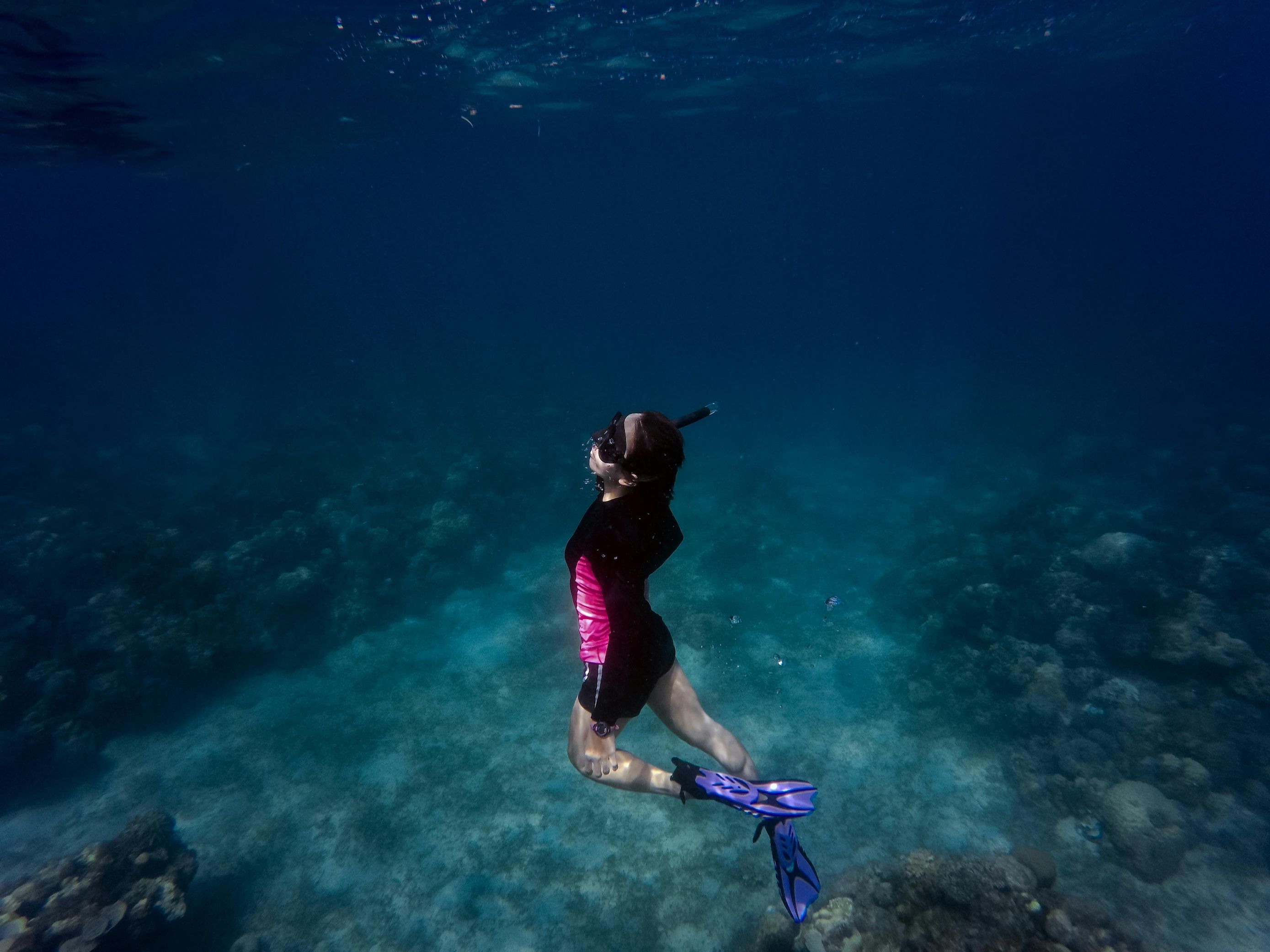 Mengenal Freediving: Olahraga Ekstrem yang Bikin Kamu Dekat dengan Laut