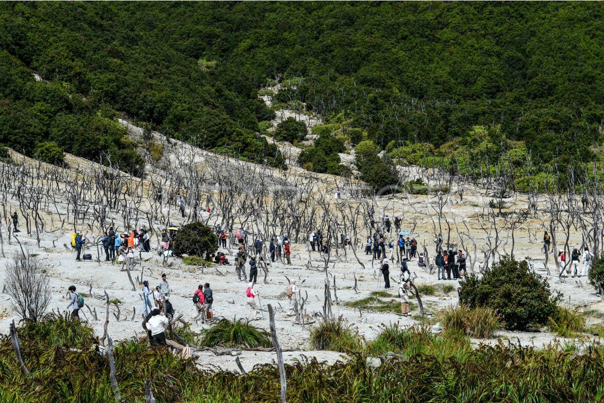 Rekomendasi Tempat Camping Terbaik di Jawa Barat untuk Wisata Alam